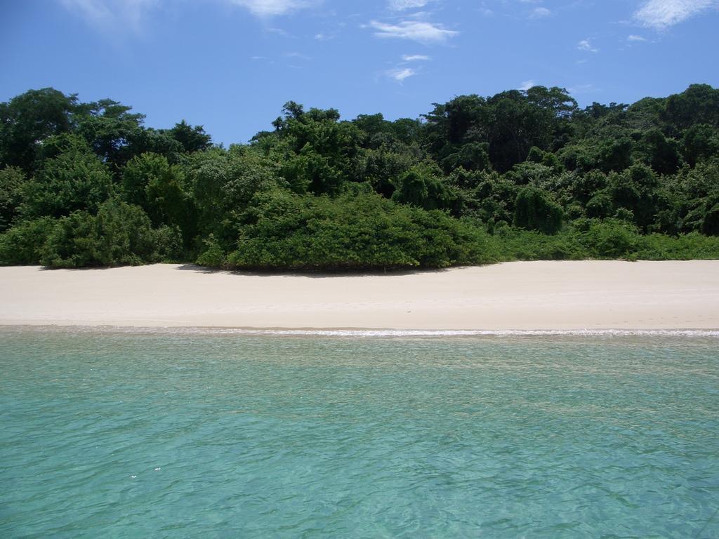 Beautiful Apartment With Terrace Contadora Island 部屋 写真