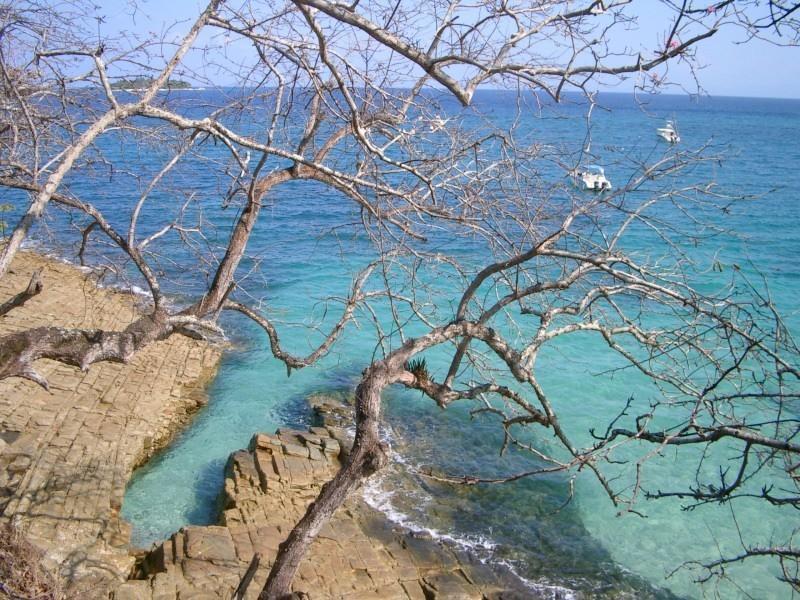 Beautiful Apartment With Terrace Contadora Island 部屋 写真